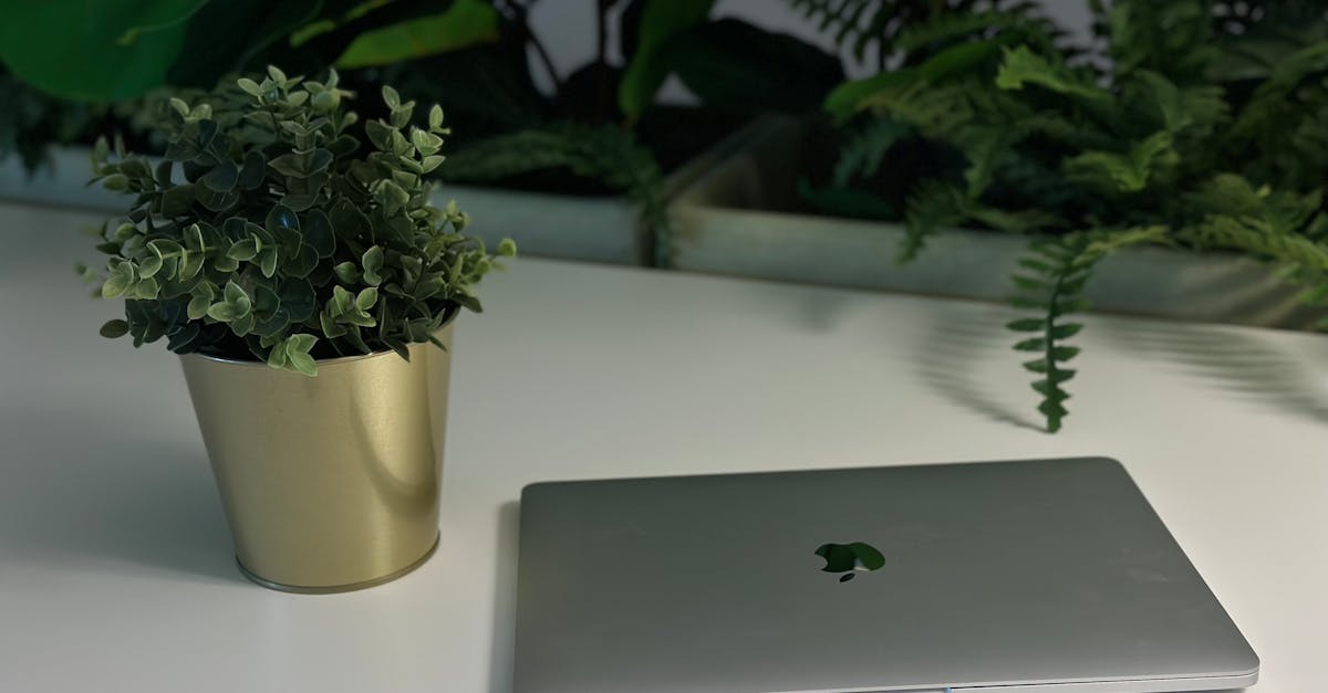 Payment Processing in Dover, Delaware | Save on Credit Card Fees