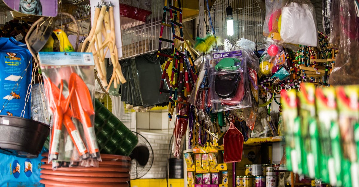 Payment Processing in Dover, New Hampshire | Save on Credit Card Fees